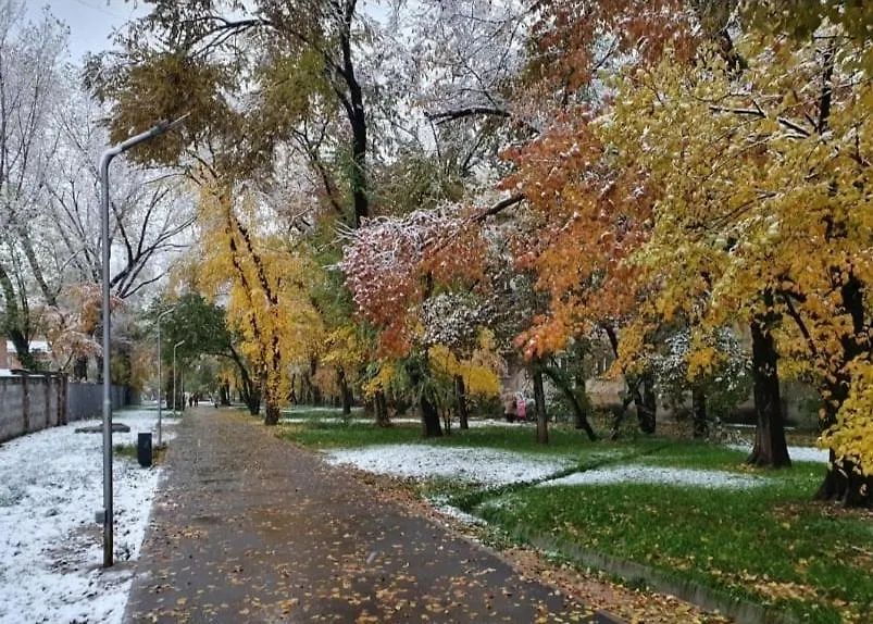 Уютные Номера В Тихом Районе Номер 4 Apartment Almaty